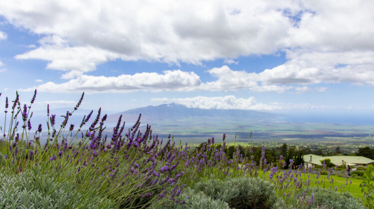 How to Visit Maui Responsibly