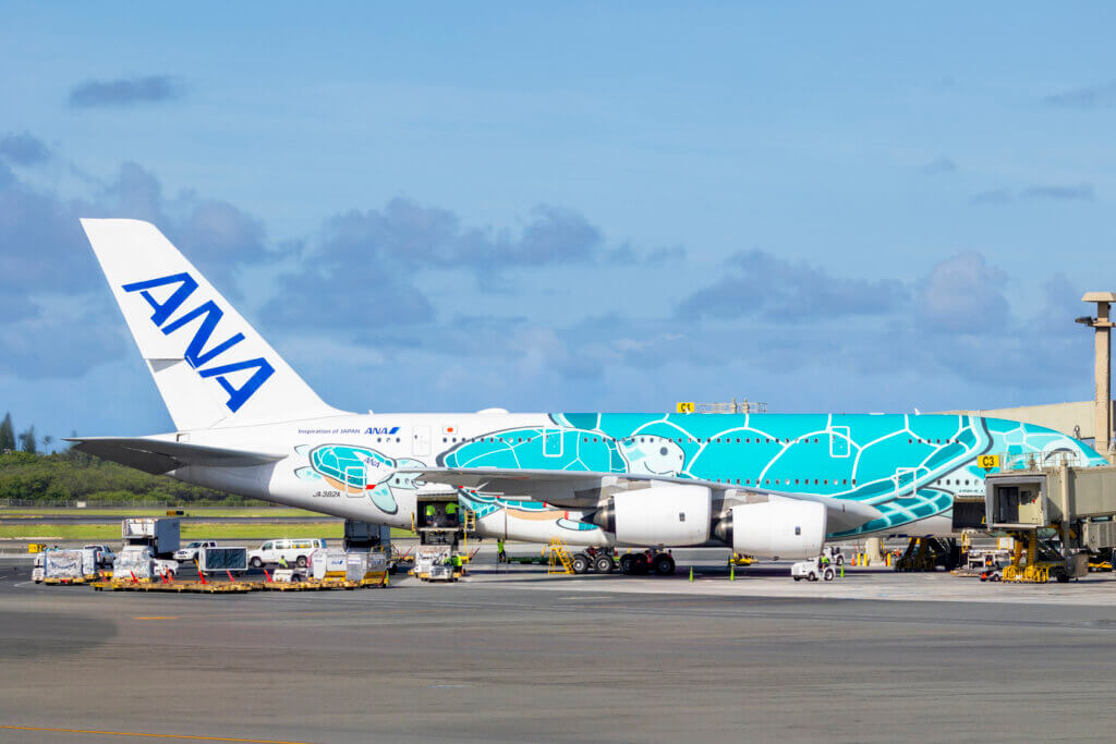 ANA Flying Honu