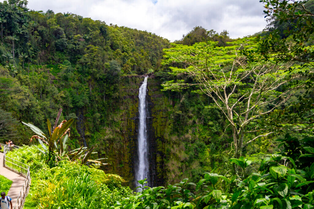 Extensive Akaka Falls Closures Begin Today