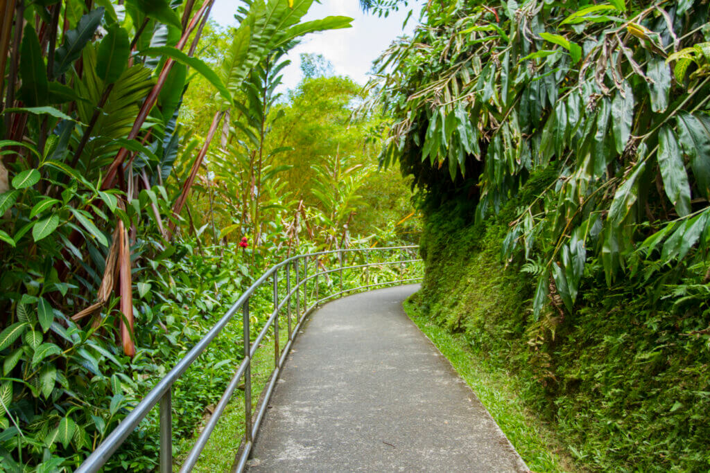 Extensive Akaka Falls Closures Begin Today