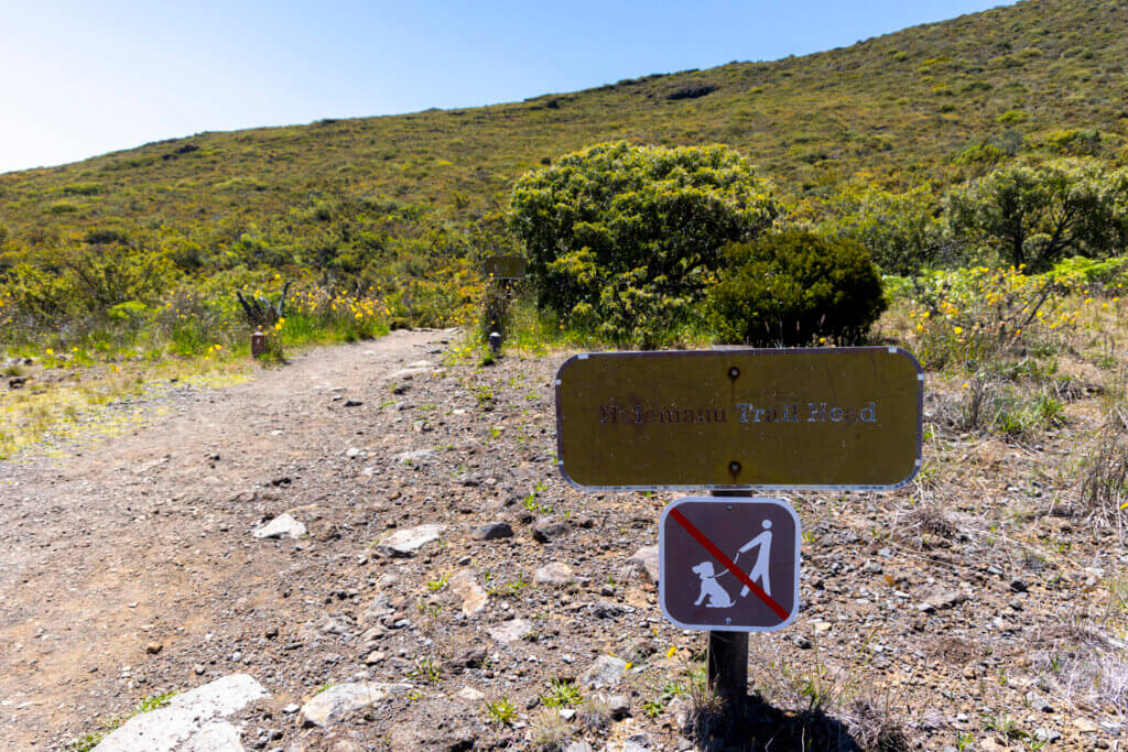 Day of Hiking in Haleakalā National Park