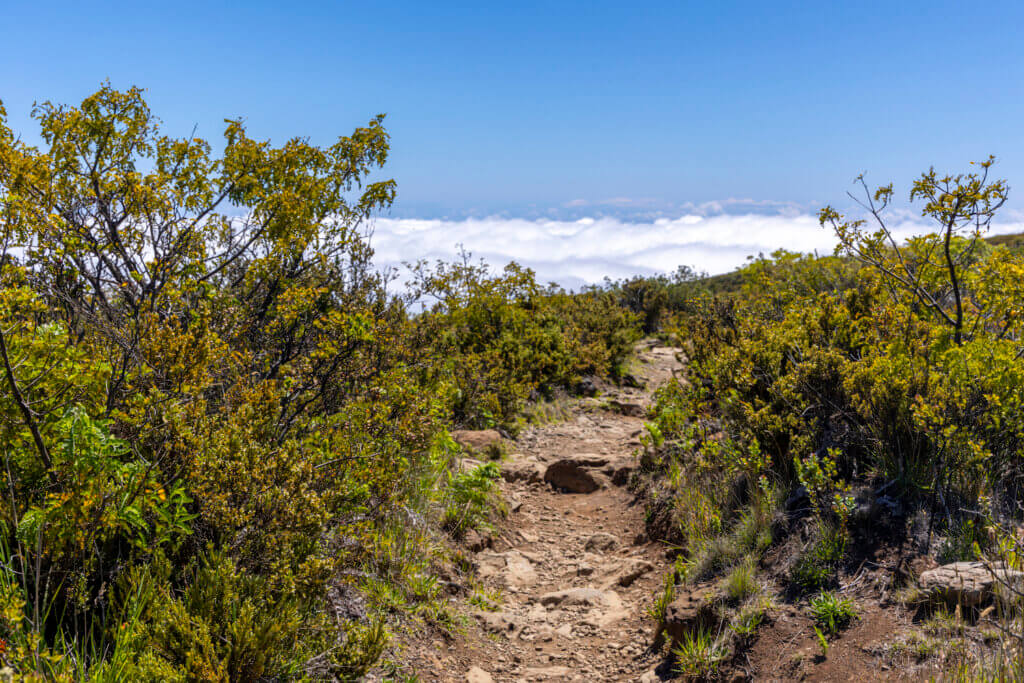 Day of Hiking in Haleakalā National Park - Halemau'u Trail