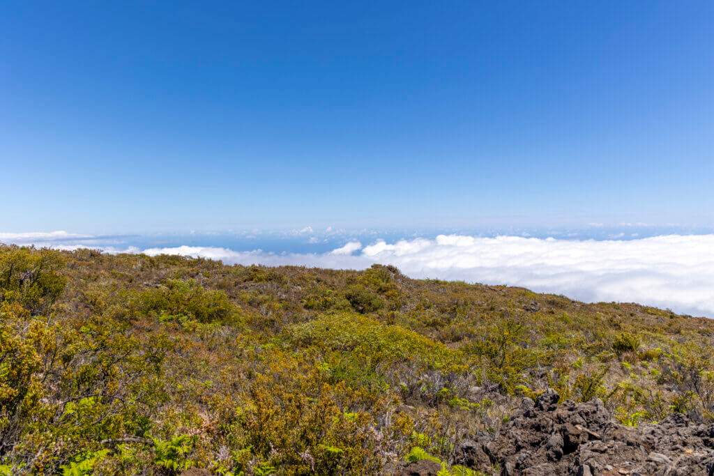 Day of Hiking in Haleakalā National Park - Halemau'u Trail