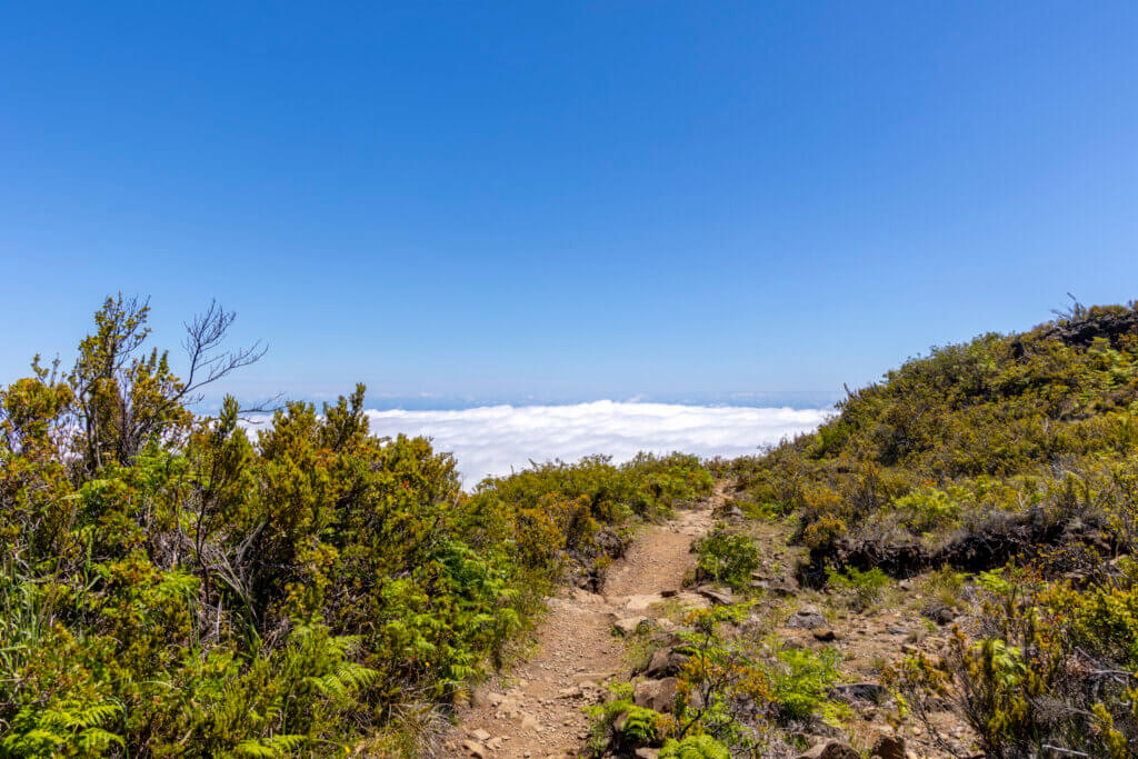Day of Hiking in Haleakalā National Park - Halemau'u Trail