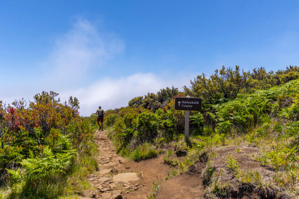 Day of Hiking in Haleakalā National Park - Halemau'u Trail