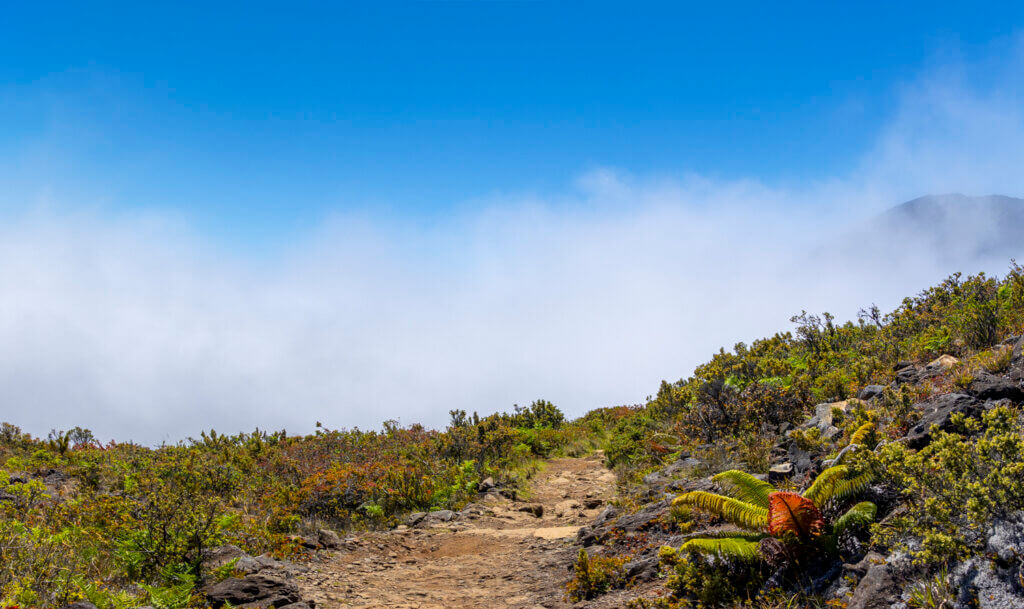 Day of Hiking in Haleakalā National Park - Halemau'u Trail
