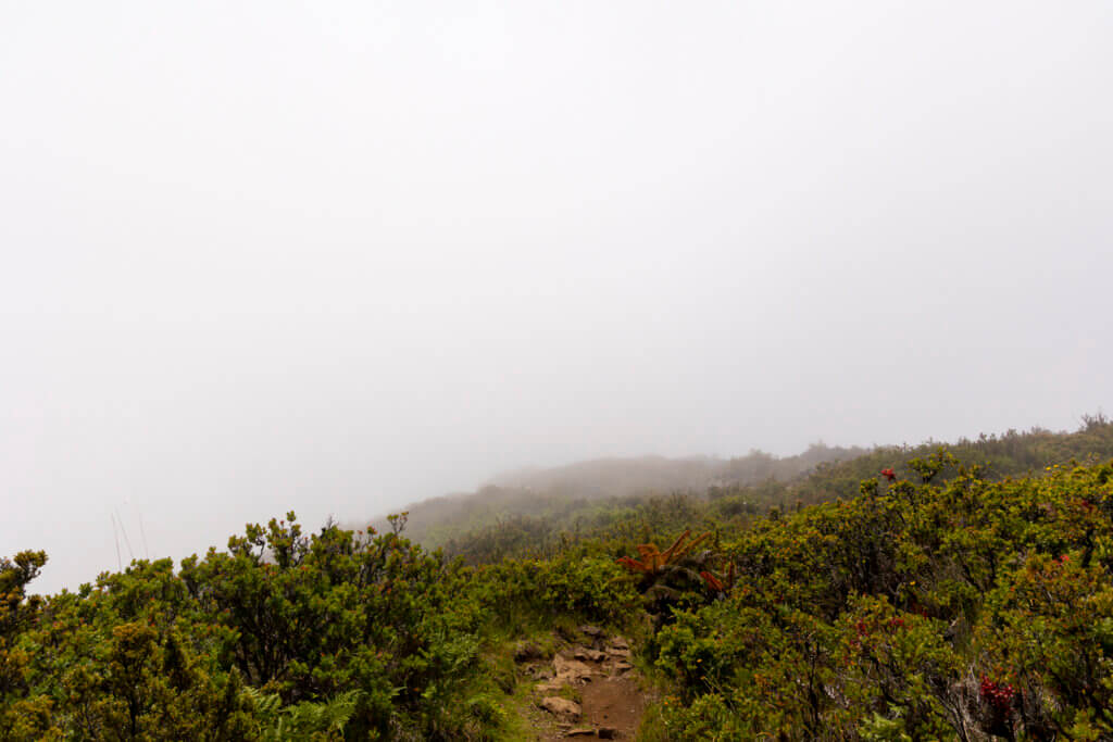 Day of Hiking in Haleakalā National Park - Halemau'u Trail