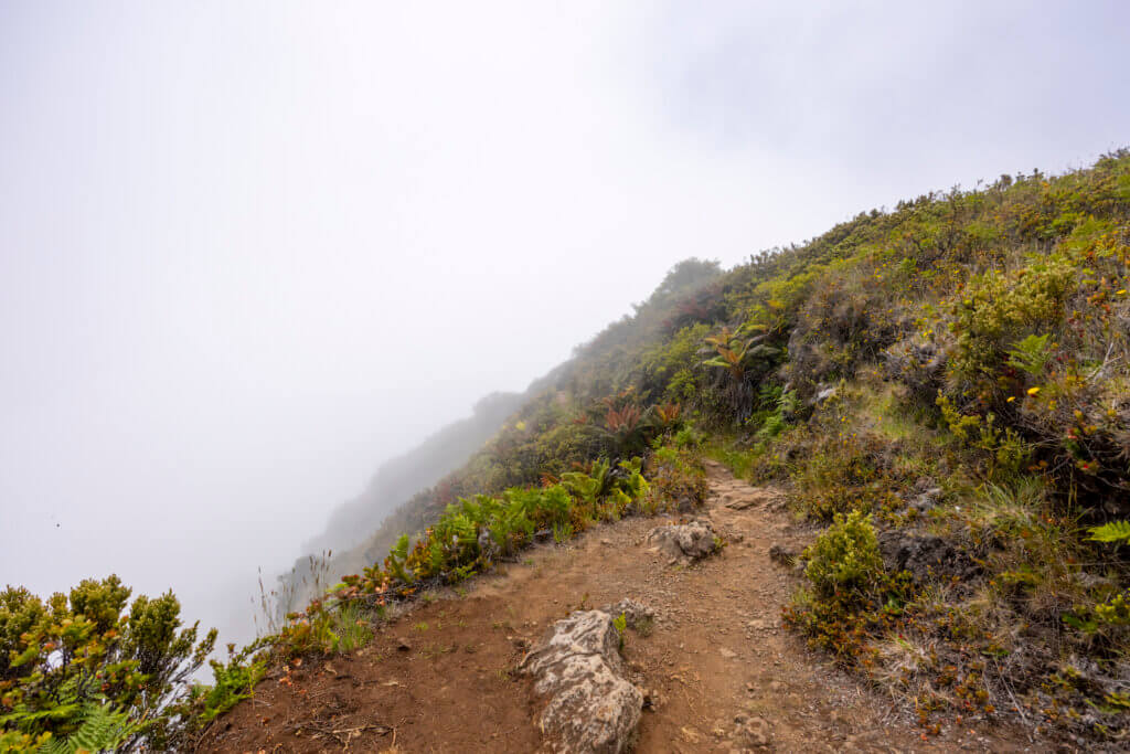 Day of Hiking in Haleakalā National Park - Halemau'u Trail