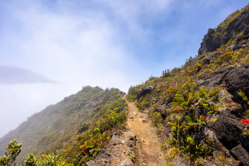 Day of Hiking in Haleakalā National Park - Halemau'u Trail
