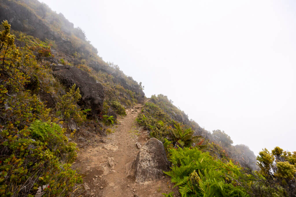 Day of Hiking in Haleakalā National Park - Halemau'u Trail