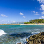 Developer Outlined Its Plans for Turtle Bay