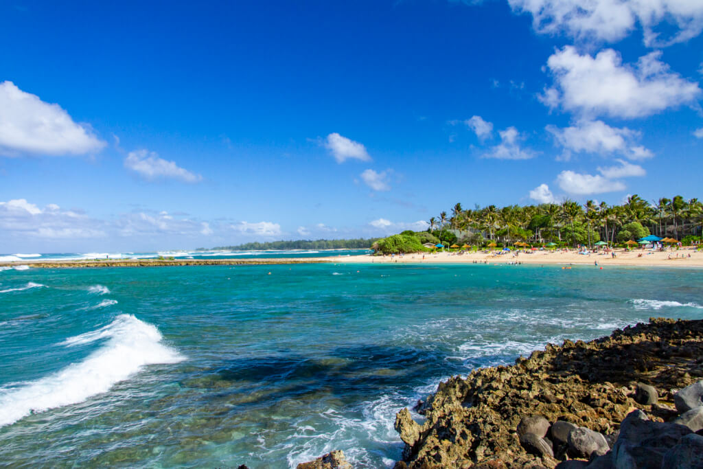 Developer Outlined Its Plans for Turtle Bay