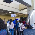 American Air is Taking on Gate Lice