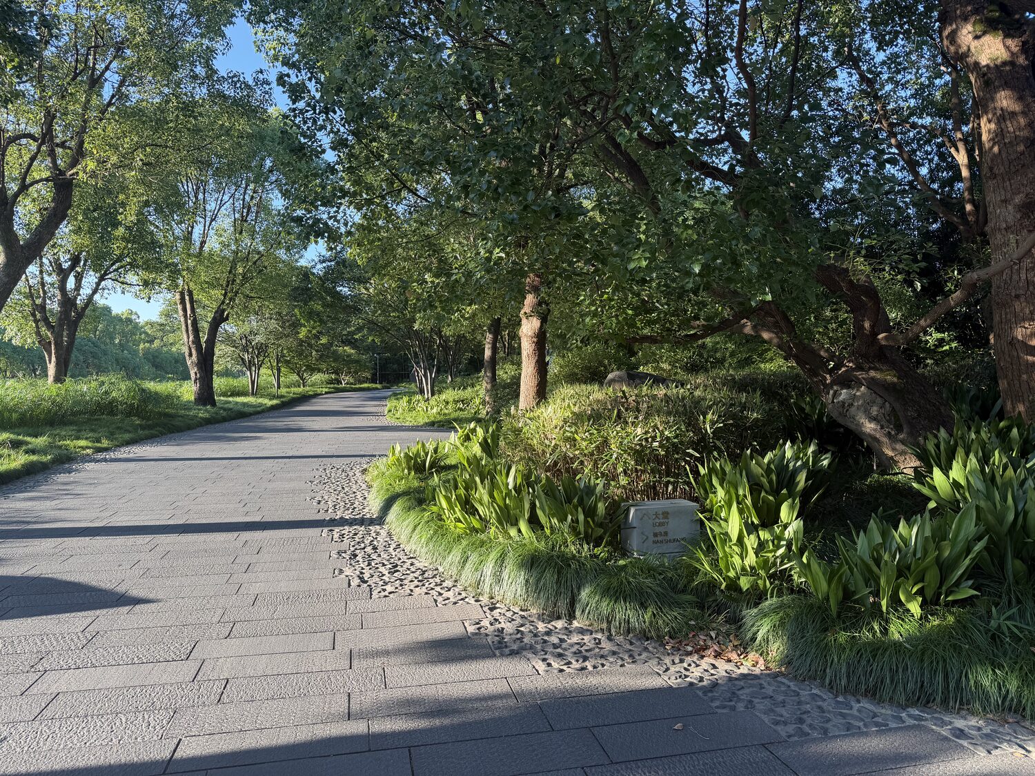 The path, first thing in the morning.