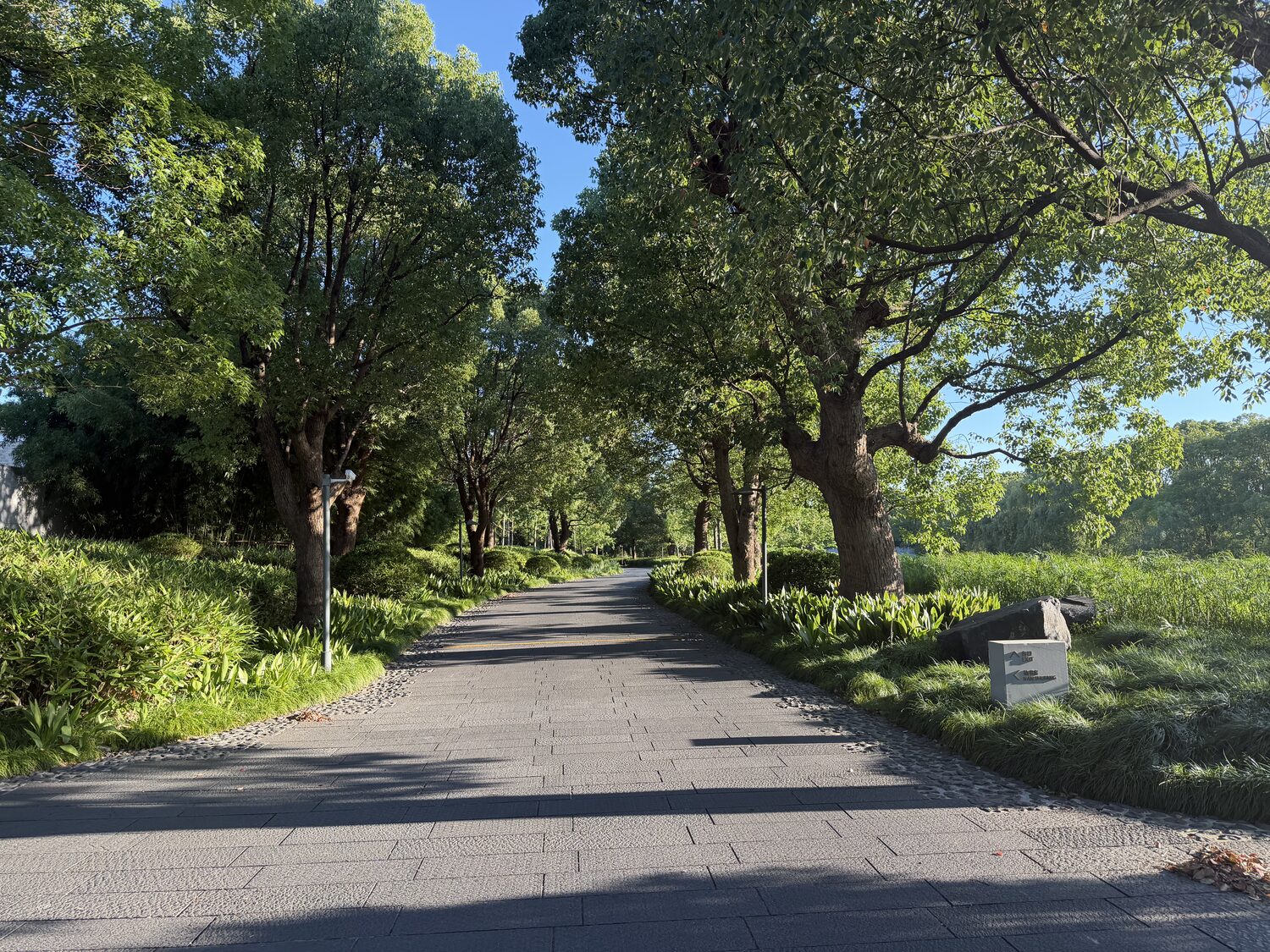 Most of the walking is under trees, which matters in July.
