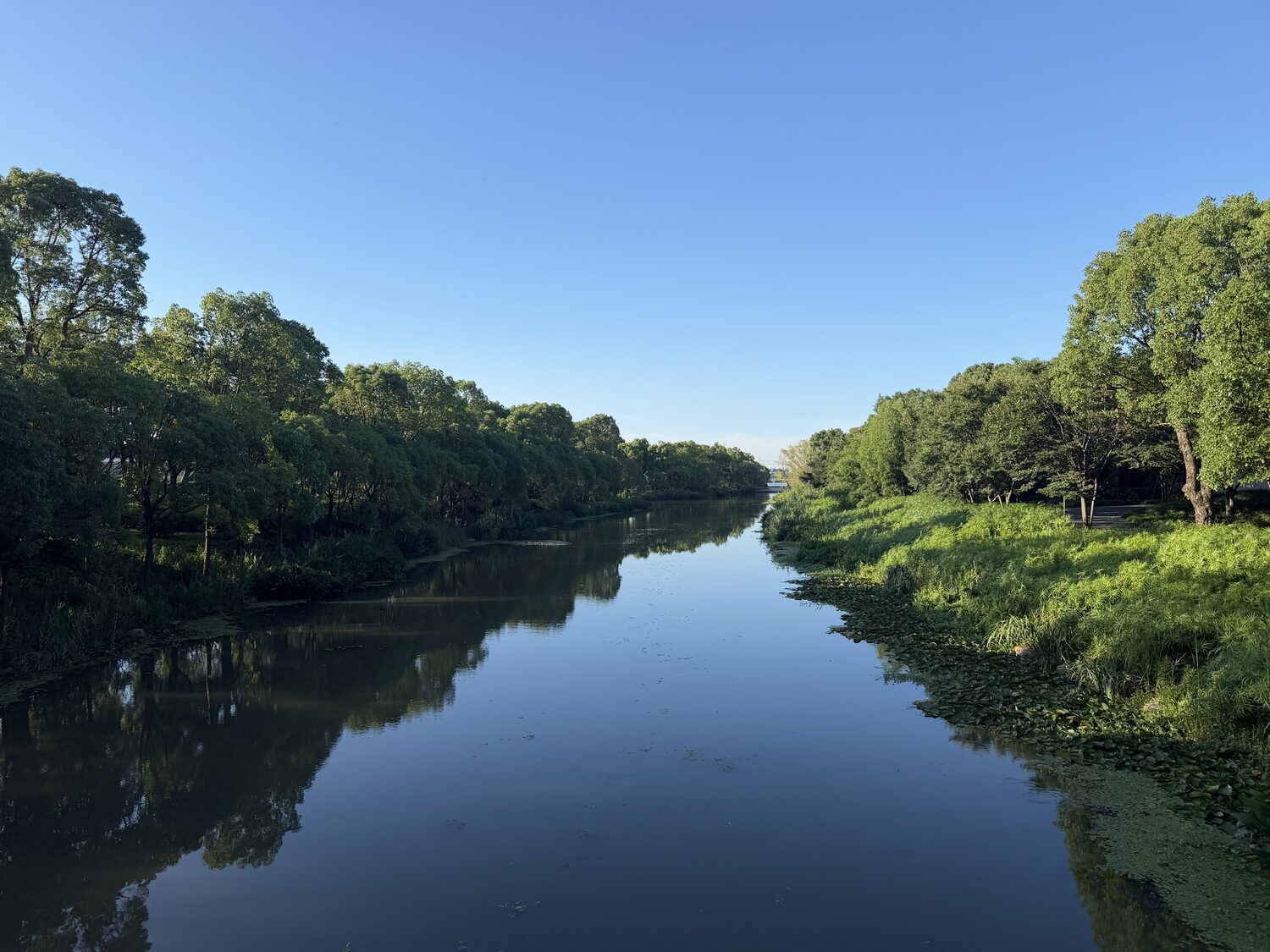 The canal.