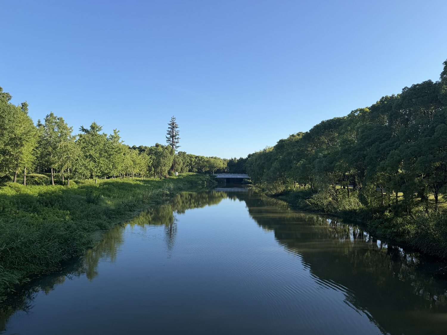 Same canal, other direction.