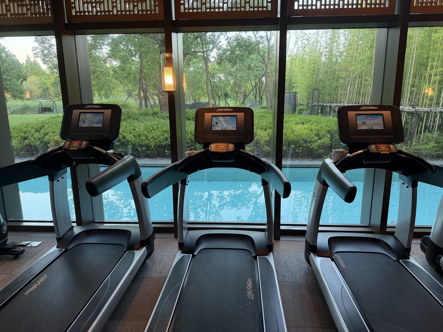 Treadmills, facing the pool.