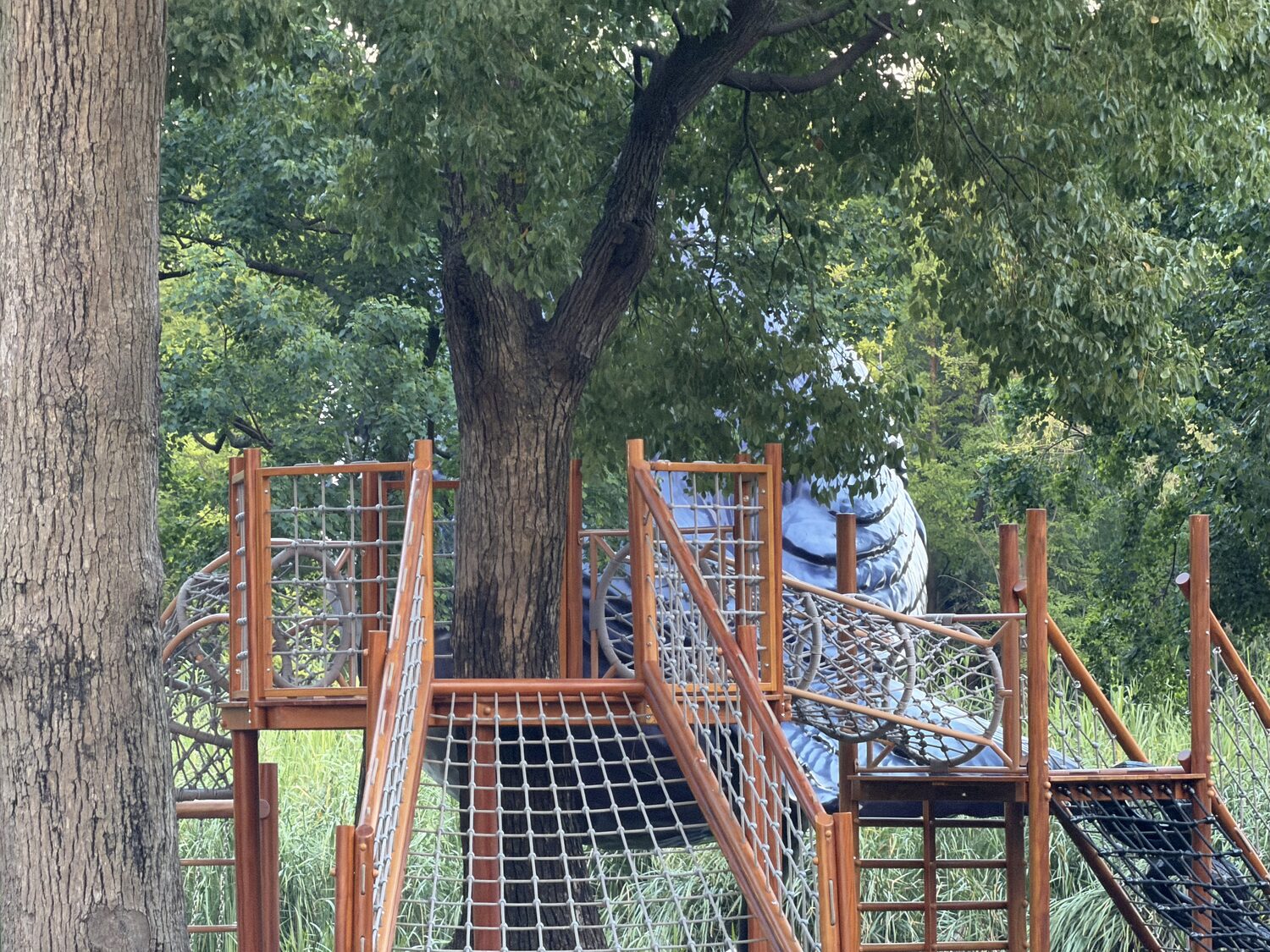 The climbing structure in the trees.