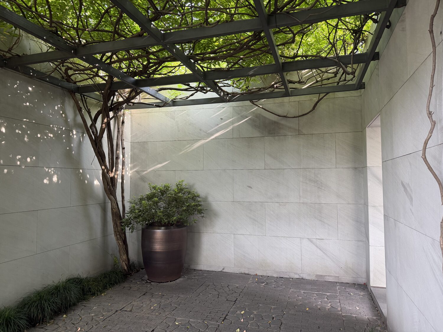 Our own courtyard, under the vines.