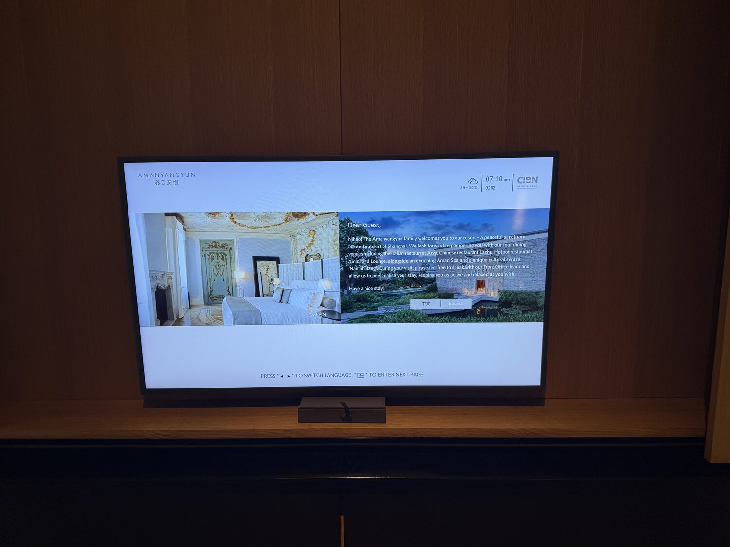 The TV.
